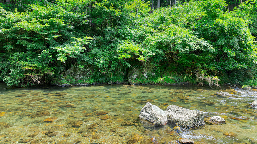 鮎は岩を見て釣る