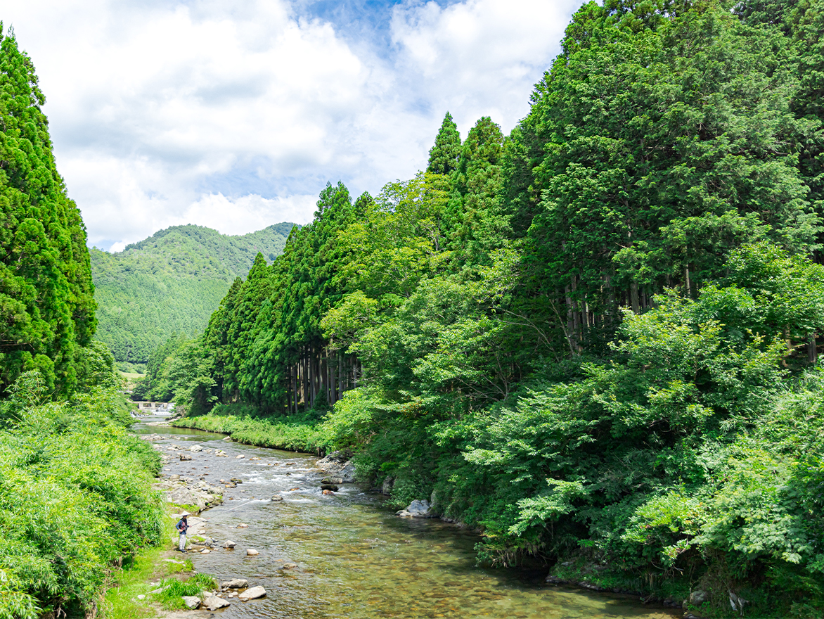 暑い夏には鮎がいい