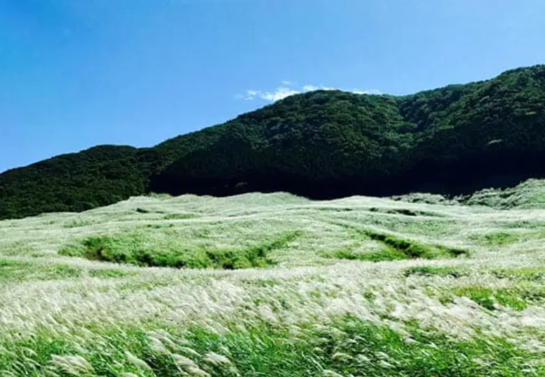 仙石原高原